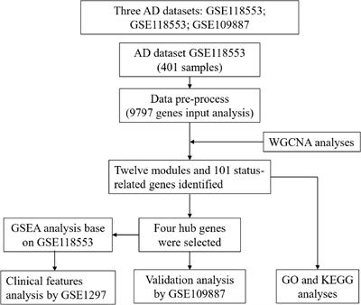 Co-expression Network Analysis Reveals Novel Genes Underlying Alzheimer’s Disease Pathogenesis